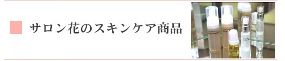 �T�����Ԃ̃X�L���P�A���i